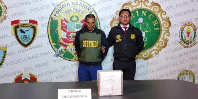 7. BURRIER CAE CON PAQUETES DE COCAINA