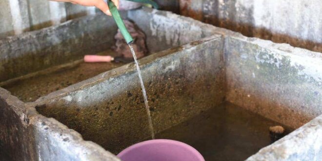 Denuncian agua potable con gusanos