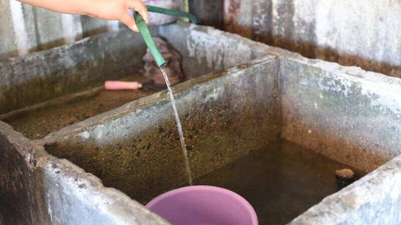 Denuncian agua potable con gusanos