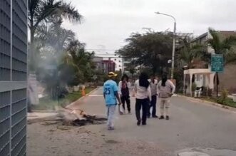 Abejas atacan a escolares.