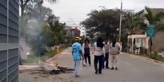 Abejas atacan a escolares.