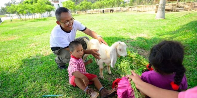 Familias pueden aprovechar para pasar más momentos juntos.