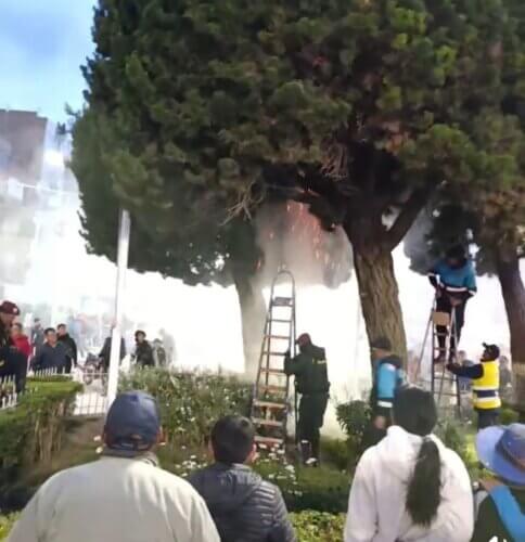 Incendio en encendido de árbol.