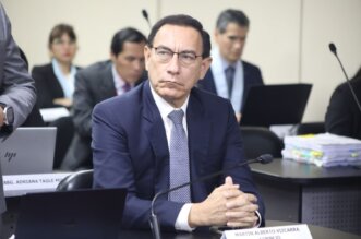 vizcarra andina