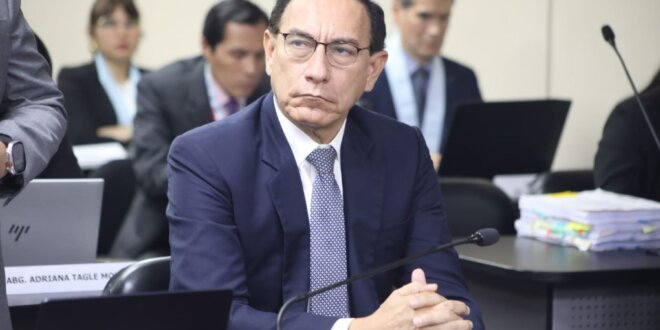 vizcarra andina