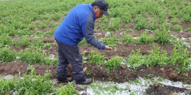 Granizada causa estragos en San Antón.