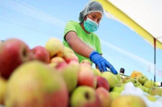 Alimentos peruanos.