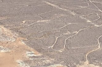 Líneas de Nasca afectadas por lluvias.