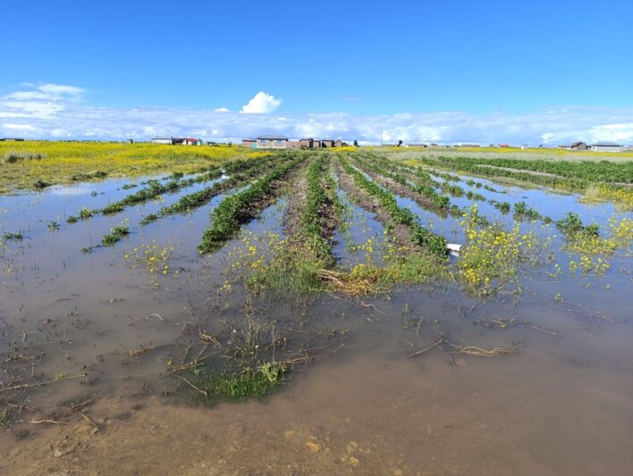 Naturaleza golpea a humildes campesinos