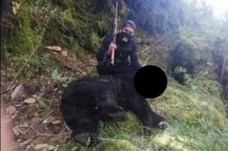 Inescrupulosos cazaron a un oso andino.