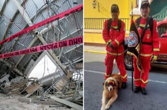 Perros de rescate no pudieron atender la emergencia.