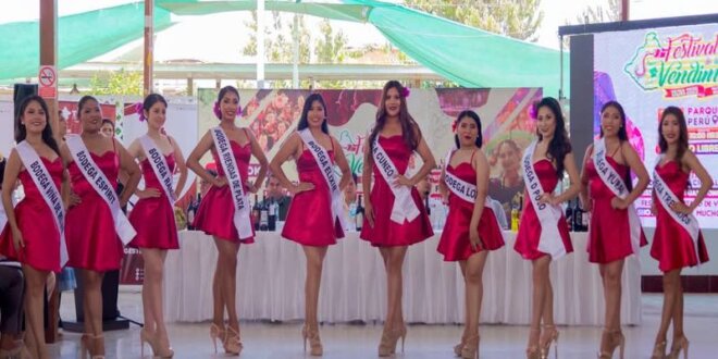 Candidatas a Miss Vendimia fueron presentadas en lanzamiento de evento.