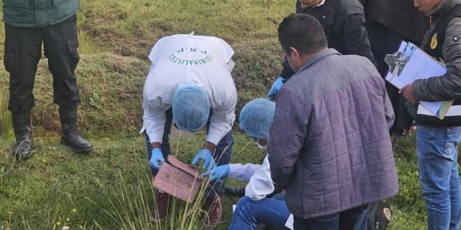 Hallan cadaver de mujer en juli sobre poner