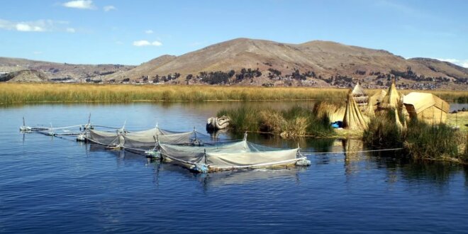 foto el titicaca recupera 75