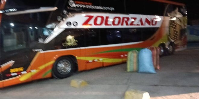 2. PASAJERO EN BUS