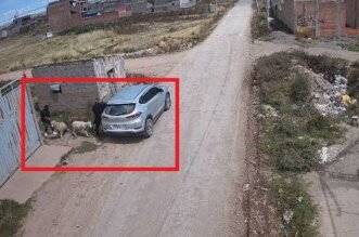 3. ABIGEOS 1