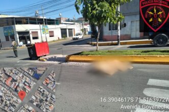 IMG 20250517 113529 800 x 533 pixel