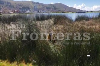 Habría intentado lanzarse al lago Titicaca.