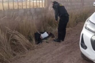 3. FUE HALLADA GOLPEADA