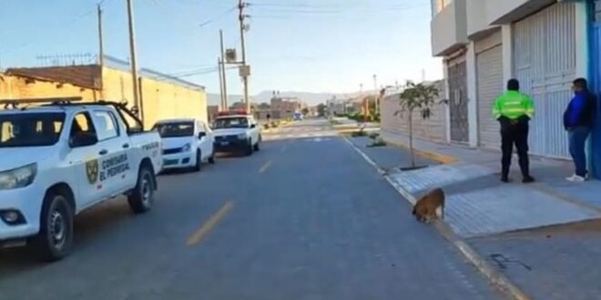 IMG 20250606 090132 800 x 533 pixel