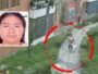 Recompensa 5 mil ubicacion trabajadora hogar robo abuelita 800x450 1