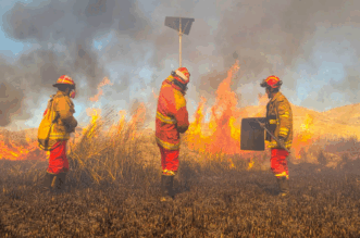 Tras raudos esfuerzos se sofoco incendio forestal a orillas del lago Titicaca