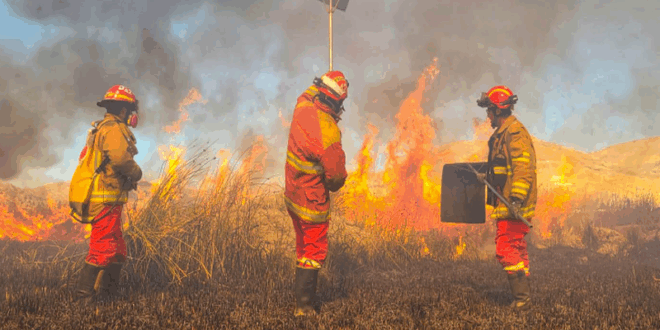 Tras raudos esfuerzos se sofoco incendio forestal a orillas del lago Titicaca