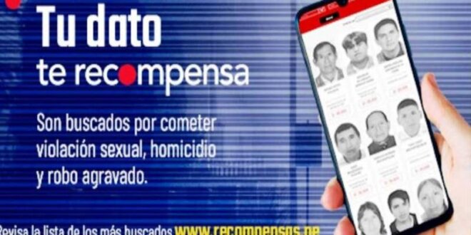 mininter 52