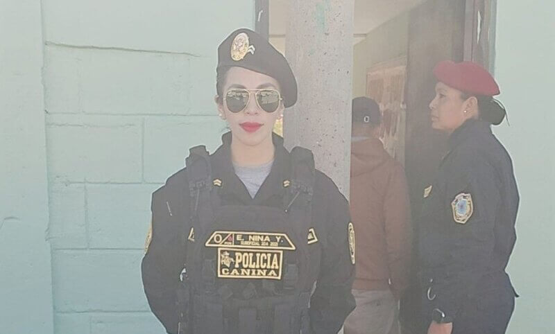 abridoraaaaaaaa 3