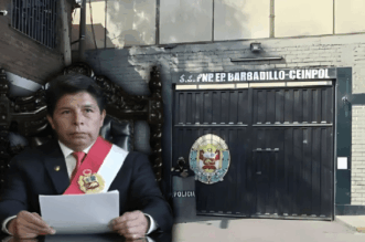 burro 1