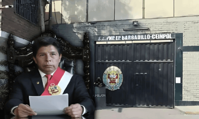 burro 1
