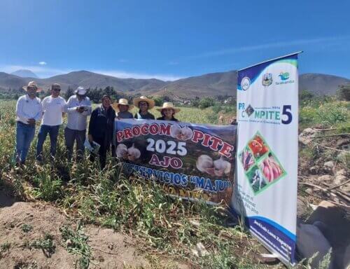 municipalidad yarabanba3