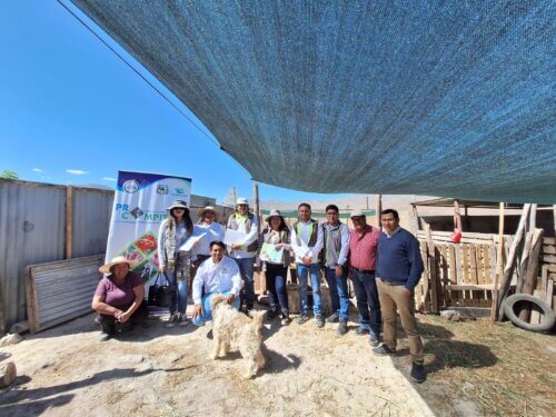 municipalidad yarabanba4