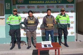 2. LOS LECHUCEROS