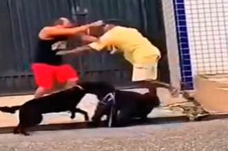 Hombres pelean y sus perros hacen lo mismo
