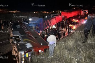 IMG 20250816 081541 800 x 533 pixel
