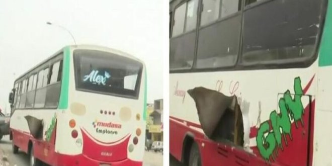 ataque bus de transporte publico 800x419 1