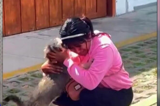 profesora perrita emotivo reencuentro 800x533 1