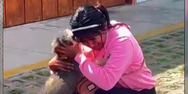 profesora perrita emotivo reencuentro 800x533 1
