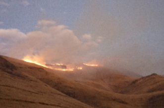 IMG 20250913 212614 800 x 533 pixel