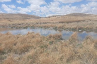 Pastizales inundados por aguas servidas 3