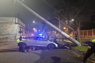 chofer huye tras derribar palmera y poste
