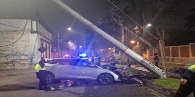 chofer huye tras derribar palmera y poste