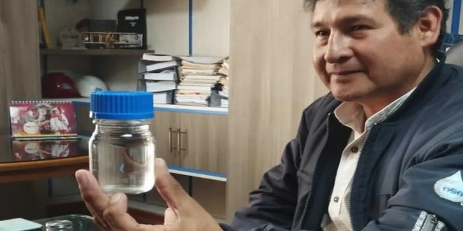 foto cuadrado puno consume