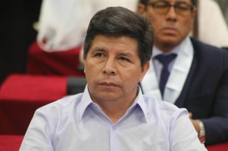 pedro castillo denuncia constitucional 800x533 1