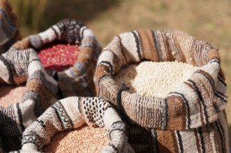 IMG 20251031 114840 800 x 533 pixel