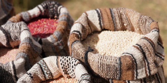 IMG 20251031 114840 800 x 533 pixel