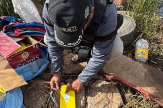 IMG 20251031 170630 800 x 533 pixel