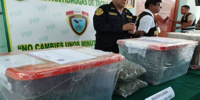 Tacna: Caen ocho hombres con 15,5 kilos de marihuana 1 abri unir 3