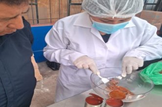 foto cuadrado 2 rechazo